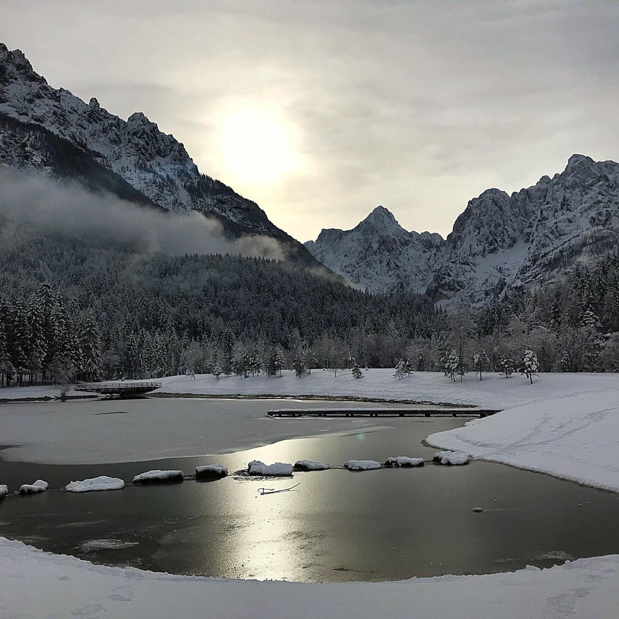 Pr'Gavedarjo Eco Heritage B&B Краньска Гора Экстерьер фото